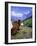 Cows at Alpiglen, Grindelwald, Bernese Oberland, Swiss Alps, Switzerland, Europe-Hans Peter Merten-Framed Photographic Print