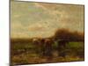 Cows at Evening-Willem Maris-Mounted Giclee Print