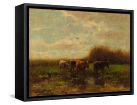 Cows at Evening-Willem Maris-Framed Stretched Canvas