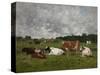 Cows at the Pasture-Eug?ne Boudin-Stretched Canvas