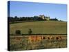 Cows Below the Chateau, Chateauneuf, Burgundy, France, Europe-Stuart Black-Stretched Canvas