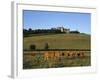 Cows Below the Chateau, Chateauneuf, Burgundy, France, Europe-Stuart Black-Framed Photographic Print
