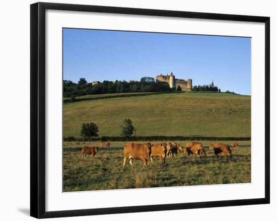 Cows Below the Chateau, Chateauneuf, Burgundy, France, Europe-Stuart Black-Framed Photographic Print