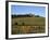 Cows Below the Chateau, Chateauneuf, Burgundy, France, Europe-Stuart Black-Framed Photographic Print