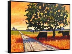 Cows Beside A Dirt Road-Patty Baker-Framed Stretched Canvas