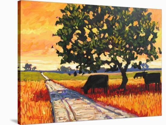 Cows Beside A Dirt Road-Patty Baker-Stretched Canvas