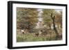 Cows By Bridge-Bill Makinson-Framed Giclee Print