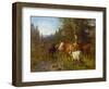 Cows by the water post-Anders Askevold-Framed Giclee Print