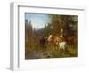Cows by the water post-Anders Askevold-Framed Giclee Print