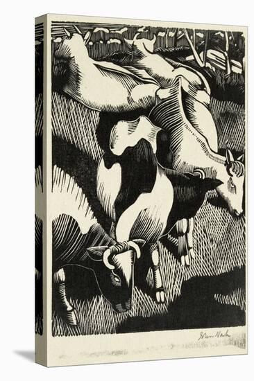 Cows, C.1919 (Wood Engraving)-John Northcote Nash-Stretched Canvas