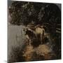 'Cows coming home up the lane at milking-time', c1900-Elmer Underwood-Mounted Photographic Print