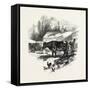 Cows, Farm, Canada, Nineteenth Century-null-Framed Stretched Canvas