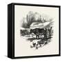 Cows, Farm, Canada, Nineteenth Century-null-Framed Stretched Canvas