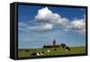 Cows Graze in Front of a Lighthouse in Bastorf, Germany-Bernd Wuestneck-Framed Stretched Canvas