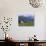 Cows Grazing at Monte Pana and Leodle Geisler Odles Range in Background, Dolomites, Italy-Richard Nebesky-Photographic Print displayed on a wall