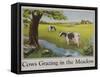 Cows Grazing in the Meadow Poster-null-Framed Stretched Canvas