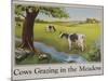 Cows Grazing in the Meadow Poster-null-Mounted Giclee Print