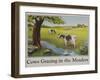 Cows Grazing in the Meadow Poster-null-Framed Giclee Print