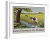 Cows Grazing in the Meadow Poster-null-Framed Giclee Print