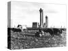 Cows Grazing Near Nuclear Power Plant-null-Stretched Canvas