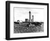 Cows Grazing Near Nuclear Power Plant-null-Framed Photographic Print