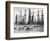 Cows Grazing near Oil Wells-null-Framed Photographic Print