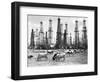 Cows Grazing near Oil Wells-null-Framed Photographic Print