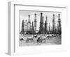 Cows Grazing near Oil Wells-null-Framed Photographic Print