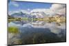 Cows grazing on green pastures surrounding the alpine lake, Val Bugliet, Canton of Graubunden, Enga-Roberto Moiola-Mounted Photographic Print