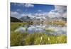 Cows grazing on green pastures surrounding the alpine lake, Val Bugliet, Canton of Graubunden, Enga-Roberto Moiola-Framed Photographic Print