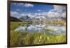 Cows grazing on green pastures surrounding the alpine lake, Val Bugliet, Canton of Graubunden, Enga-Roberto Moiola-Framed Photographic Print