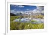 Cows grazing on green pastures surrounding the alpine lake, Val Bugliet, Canton of Graubunden, Enga-Roberto Moiola-Framed Photographic Print