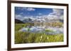 Cows grazing on green pastures surrounding the alpine lake, Val Bugliet, Canton of Graubunden, Enga-Roberto Moiola-Framed Photographic Print