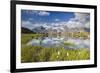 Cows grazing on green pastures surrounding the alpine lake, Val Bugliet, Canton of Graubunden, Enga-Roberto Moiola-Framed Photographic Print