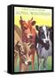 Cows, Greetings from Alpha-null-Framed Stretched Canvas