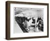 Cows Hooked Up to Electric Milkers-null-Framed Photographic Print