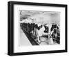 Cows Hooked Up to Electric Milkers-null-Framed Photographic Print