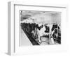 Cows Hooked Up to Electric Milkers-null-Framed Photographic Print