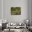 Cows in a Field; Vaches Dans Un Pre-Roger De La Fresnaye-Giclee Print displayed on a wall