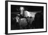 Cows in a Field-Clive Nolan-Framed Photographic Print