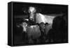 Cows in a Field-Clive Nolan-Framed Stretched Canvas