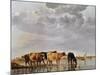 Cows in a River, C.1650-Aelbert Cuyp-Mounted Premium Giclee Print