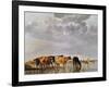 Cows in a River, C.1650-Aelbert Cuyp-Framed Giclee Print