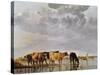 Cows in a River, C.1650-Aelbert Cuyp-Stretched Canvas