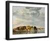 Cows in a River-Aelbert Cuyp-Framed Giclee Print