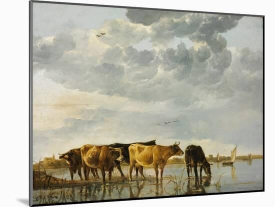 Cows in a River-Aelbert Cuyp-Mounted Giclee Print