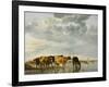 Cows in a River-Aelbert Cuyp-Framed Giclee Print