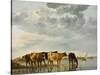 Cows in a River-Aelbert Cuyp-Stretched Canvas