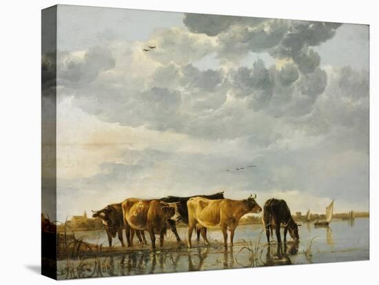 Cows in a River-Aelbert Cuyp-Stretched Canvas