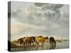 Cows in a River-Aelbert Cuyp-Stretched Canvas